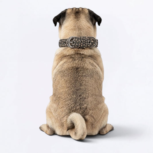 Pearl - Adjustable Pug Collar
