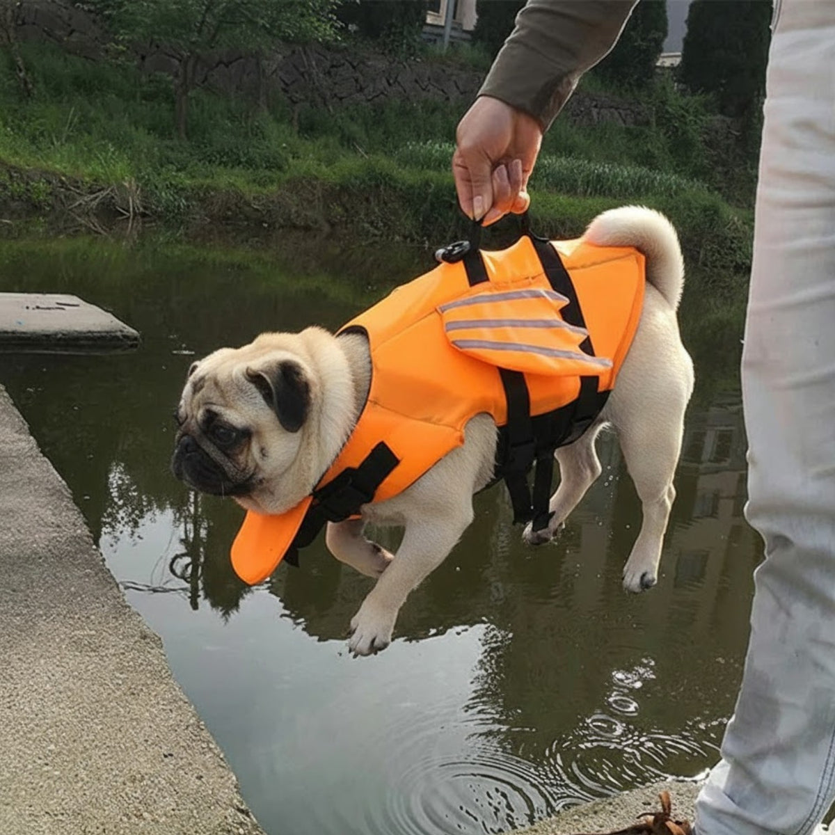 AquaWing-Pug-Life-Swim-Vest.jpg