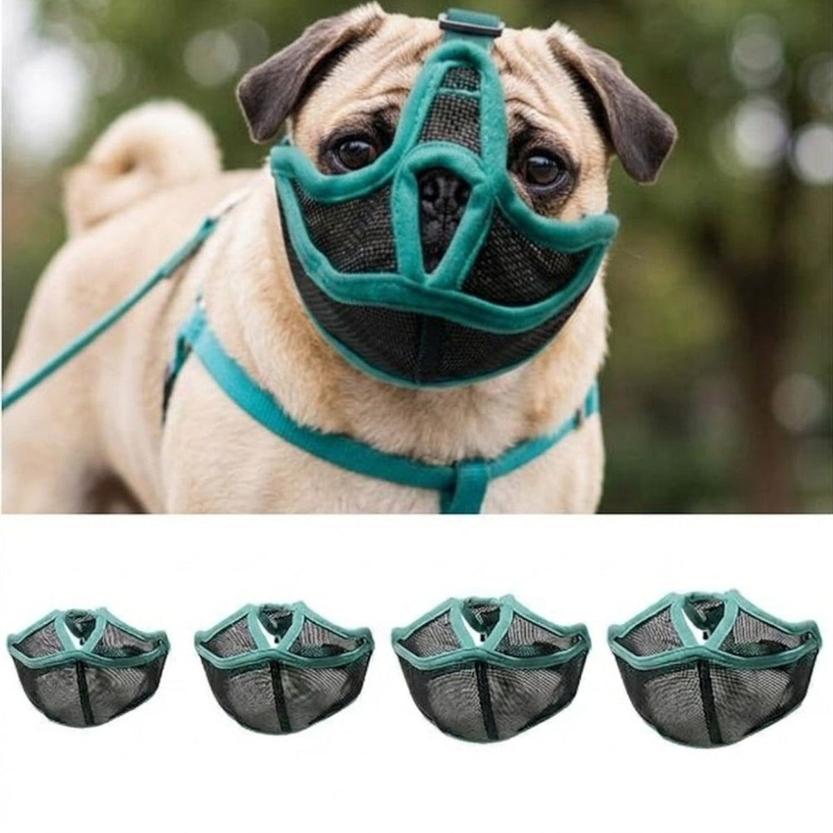 CalmPaw-Pug-Soft-Mesh-Muzzle.jpg