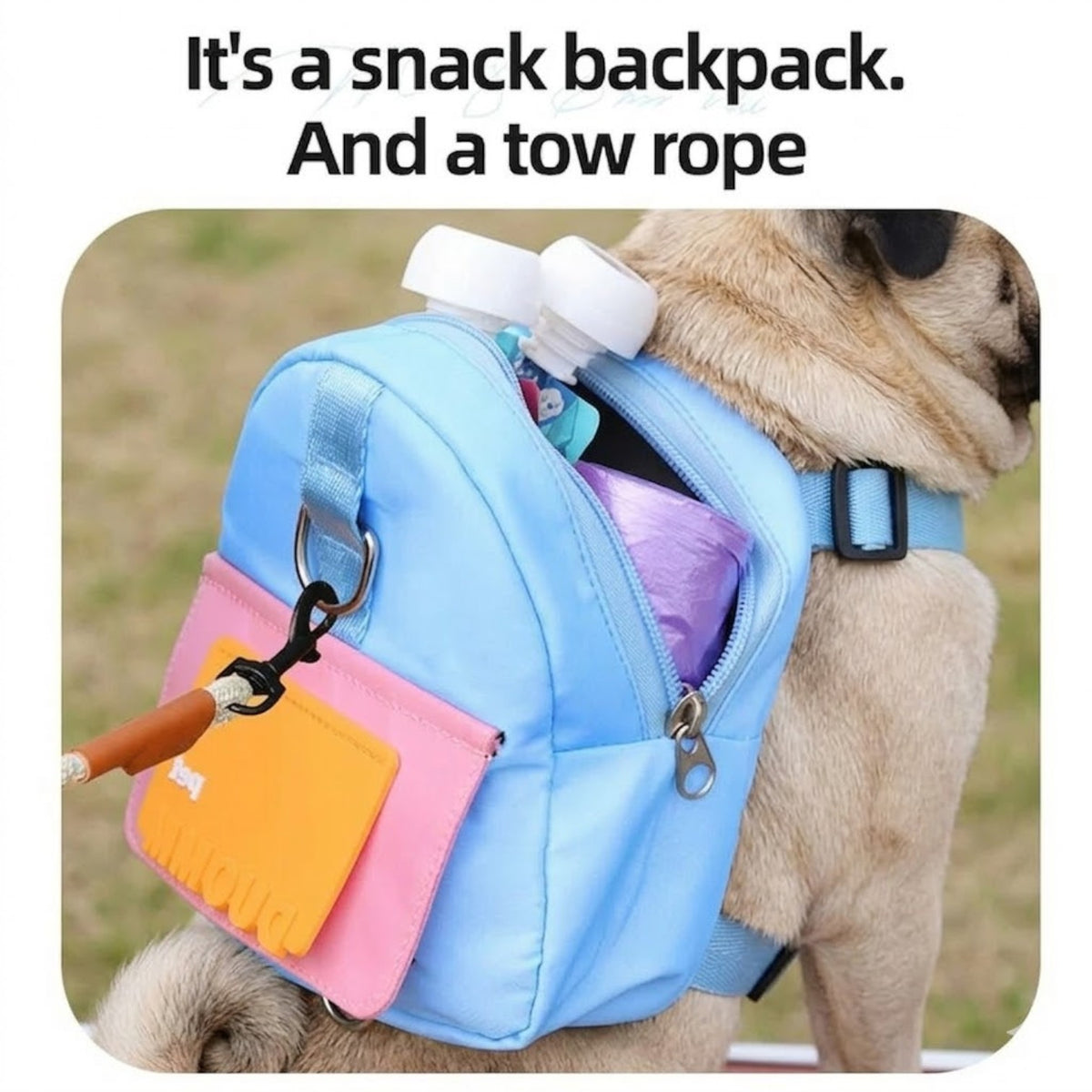 DuoMM-Pug-Harness-Backpack.jpg