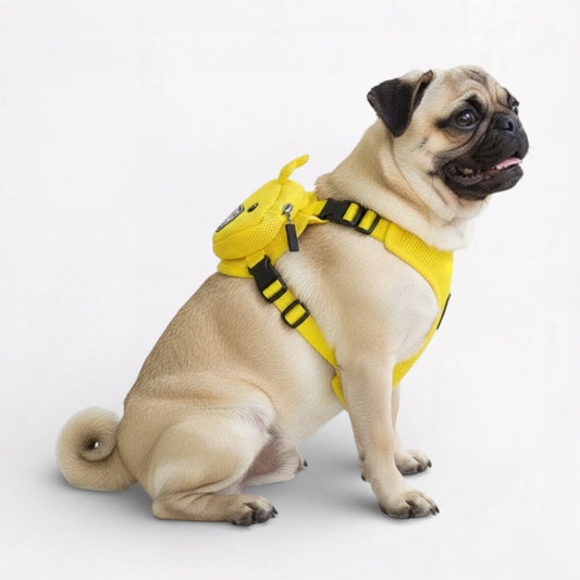 Froggy-Pug-Backpack-Harness-Set.jpg