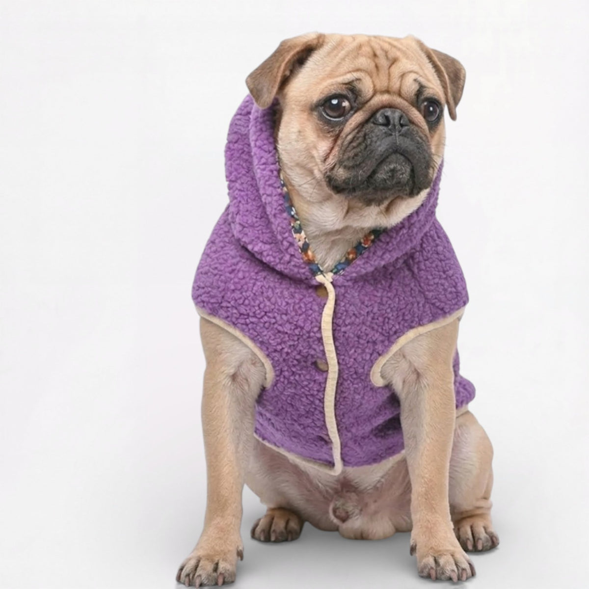 FrostPaw-Pug-Winter-Vest-Hoodie.jpg