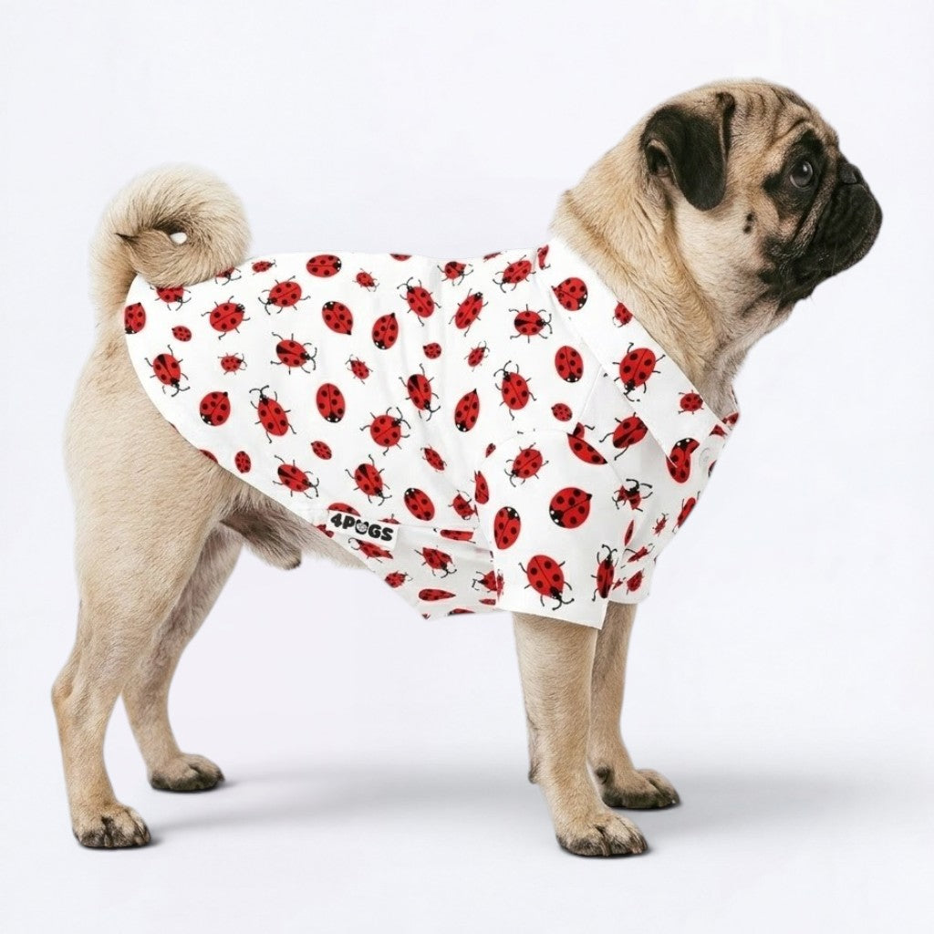 Jax - Pug Hawaiian Shirt