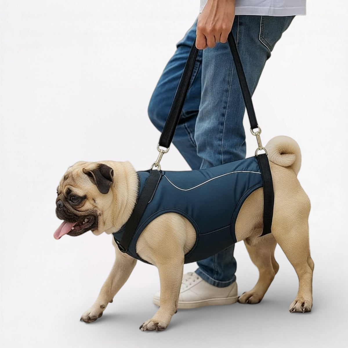 LiftEase-Pug-Full-Body-Support-Harness.jpg