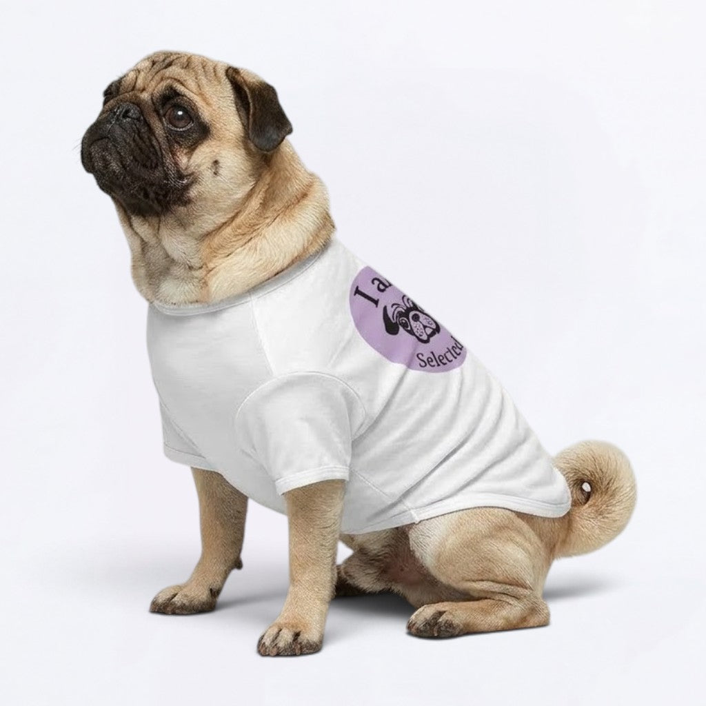 Sugar - Matching Dog T-Shirt | Breathable Pug Tee