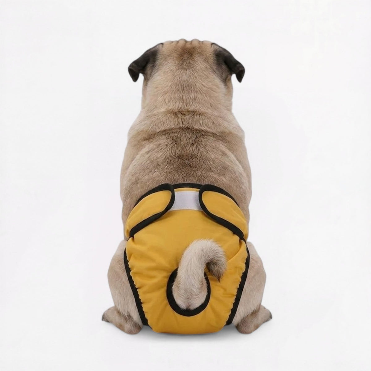 PawDia-Pug-Washable-Diaper.jpg