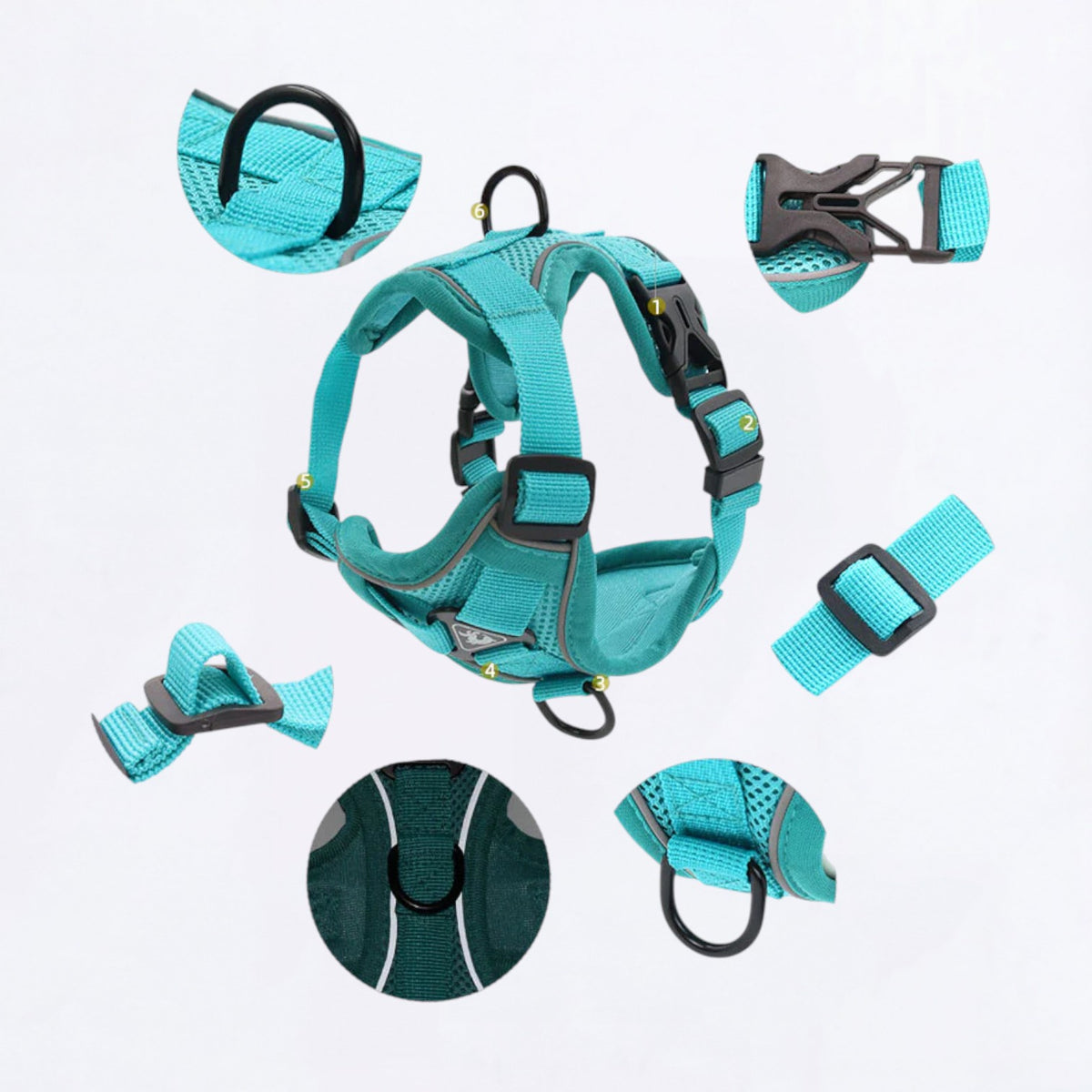 PawFlex-Pug-Harness-Leash-Set.jpg