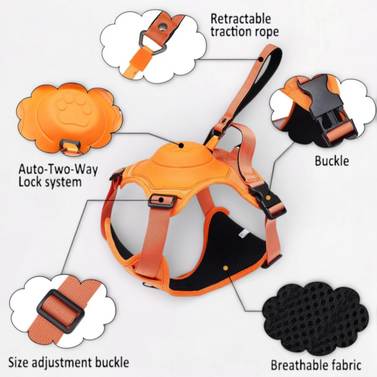 PawFlex-Pug-Harness-Leash-Set.jpg