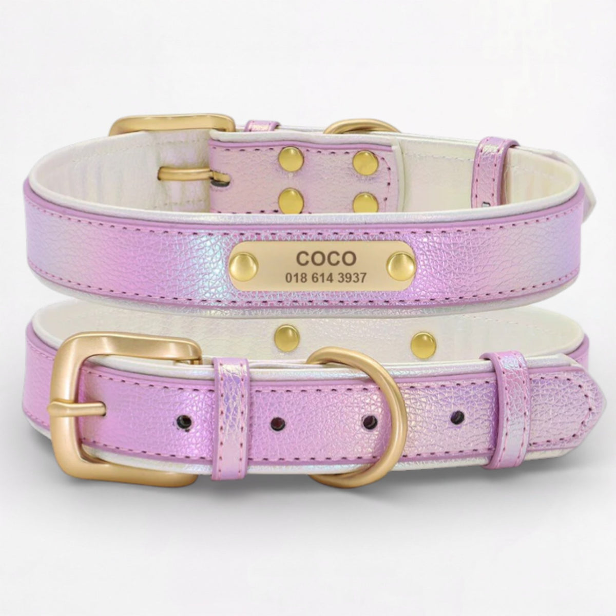 PawLize-Pug-Personalized-Collar.jpg