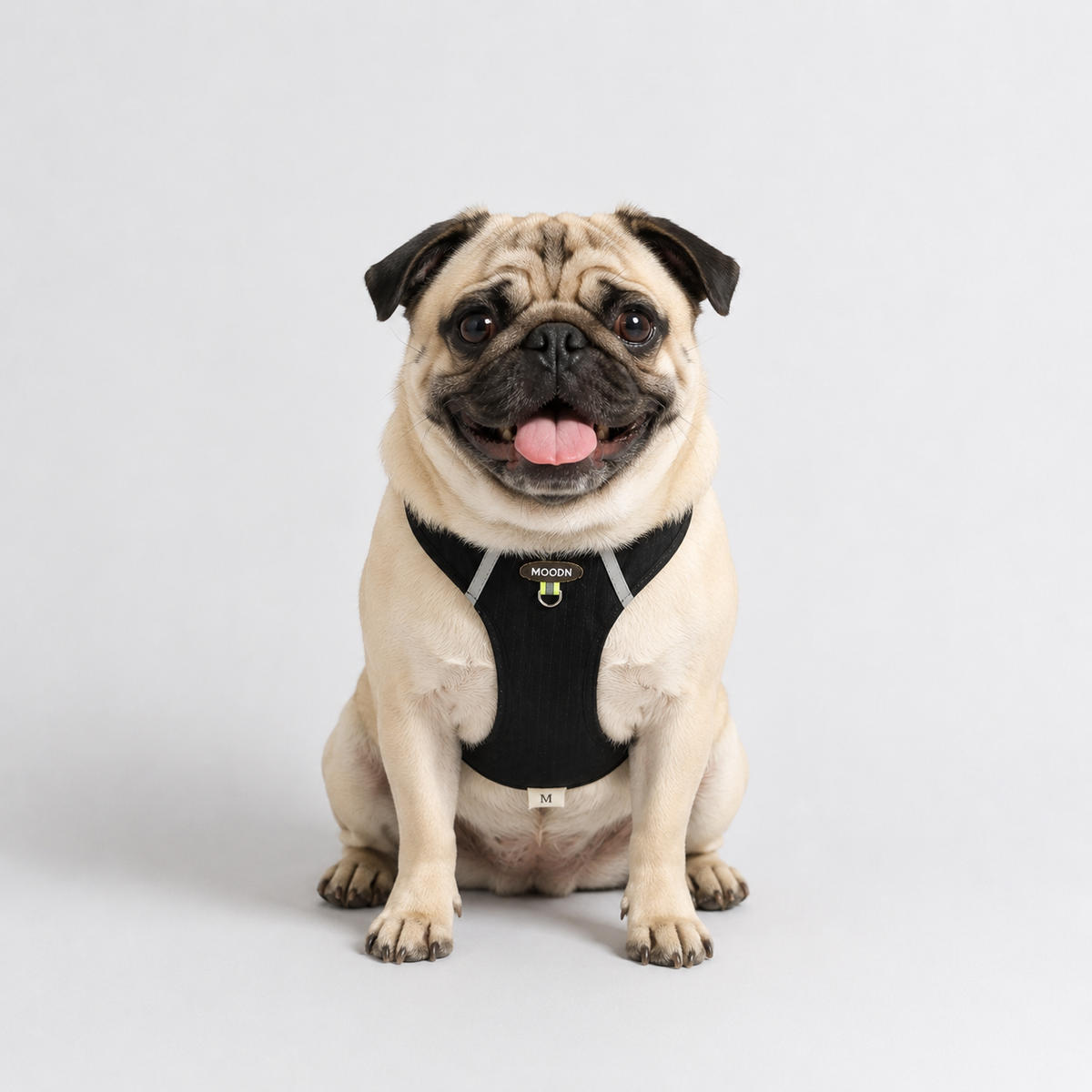 PawTrick-Pug-Harness-Bag-Set.jpg