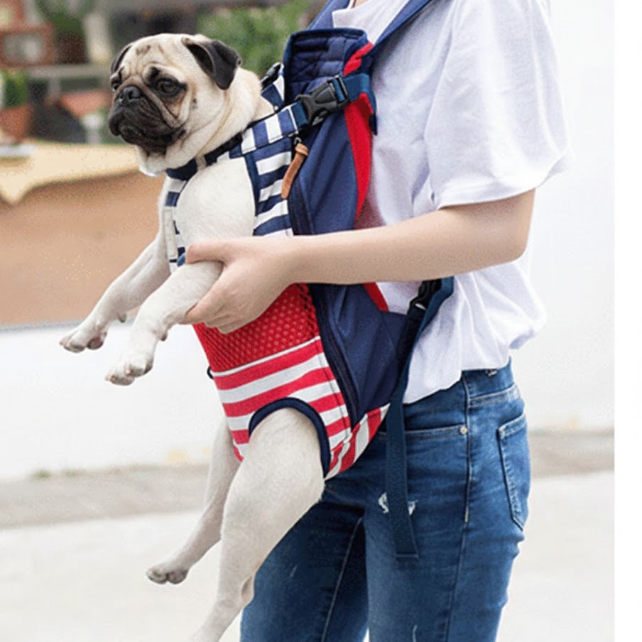PawVent-Pug-Backpack-Carrier.jpg