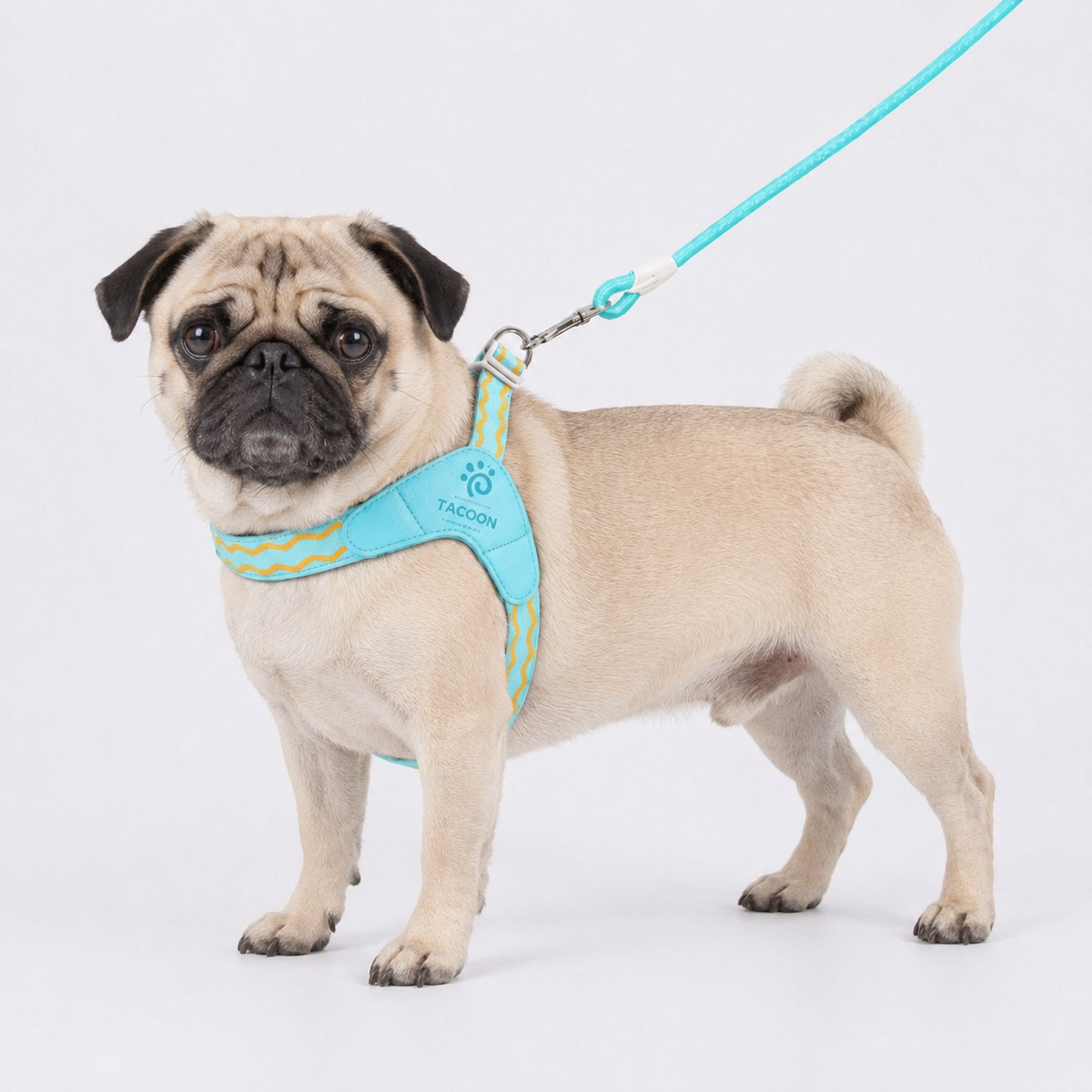 PawVibe-Pug-Harness-Leash-Set.jpg