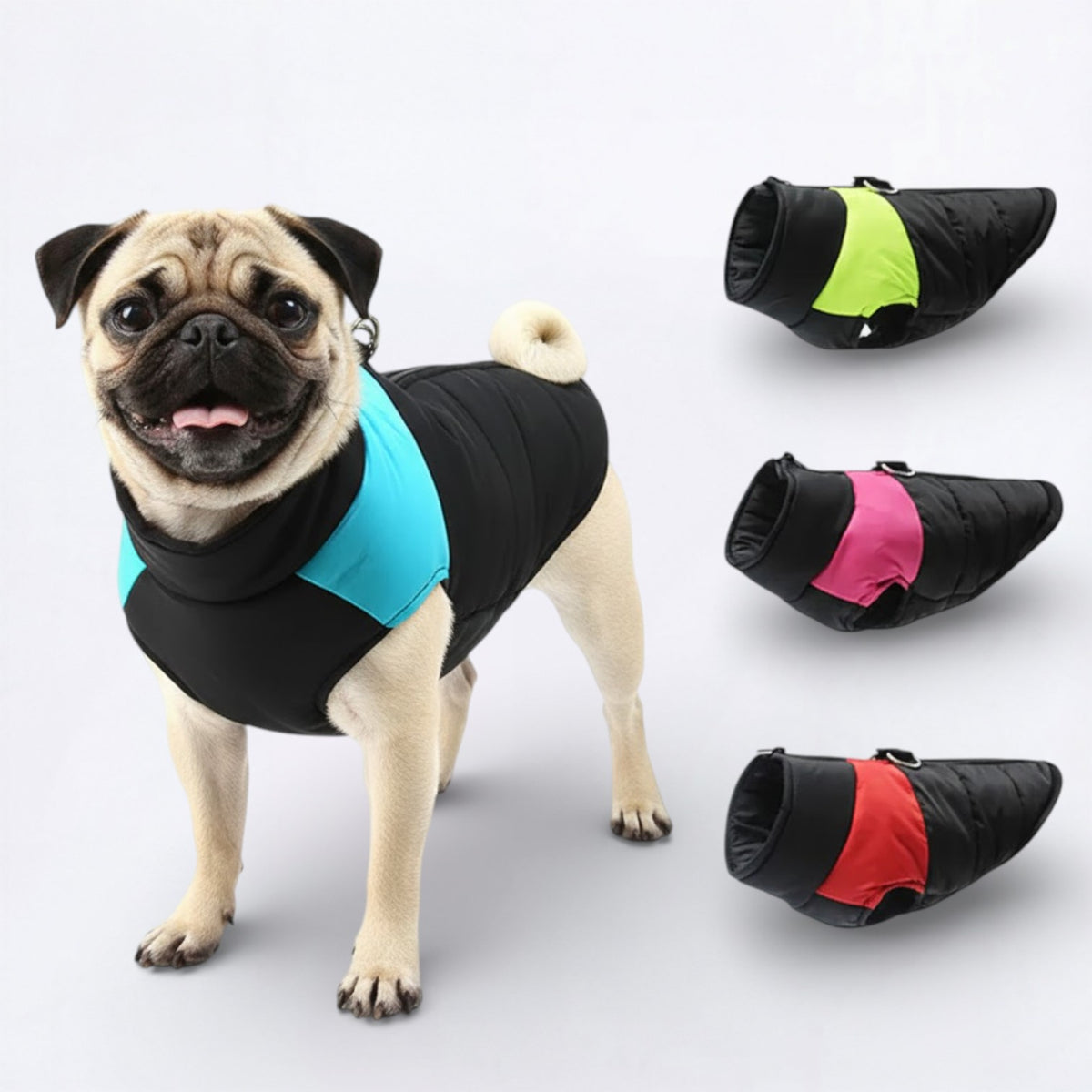 Pawguard-Pug-Waterproof-Jacket.jpg