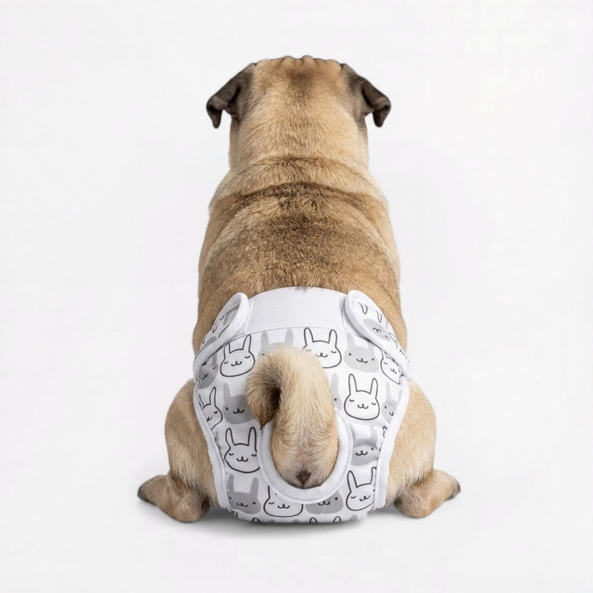 Pawzy-Pug-Cartoon-Washable-Diaper.jpg