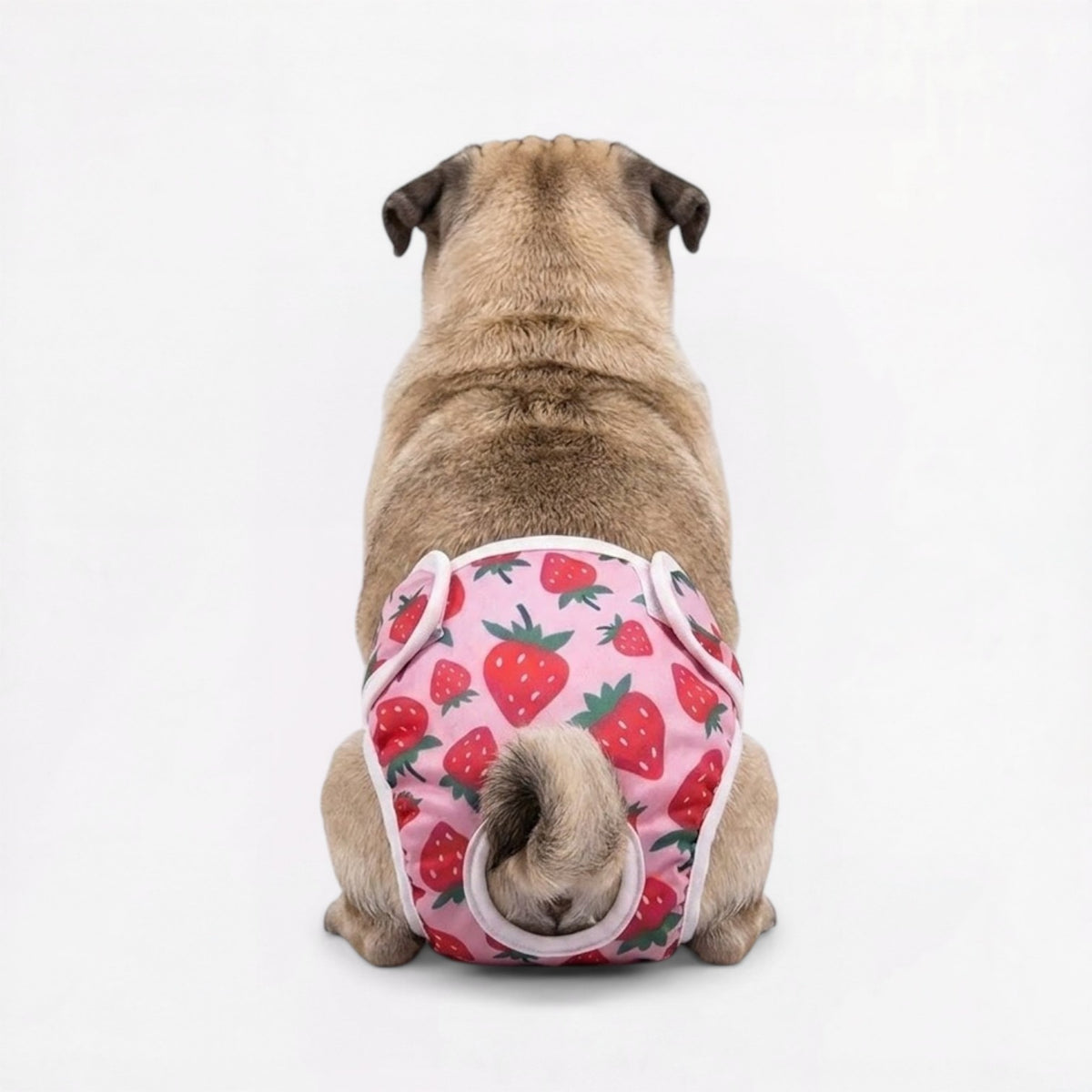Pawzy-Pug-Cartoon-Washable-Diaper.jpg