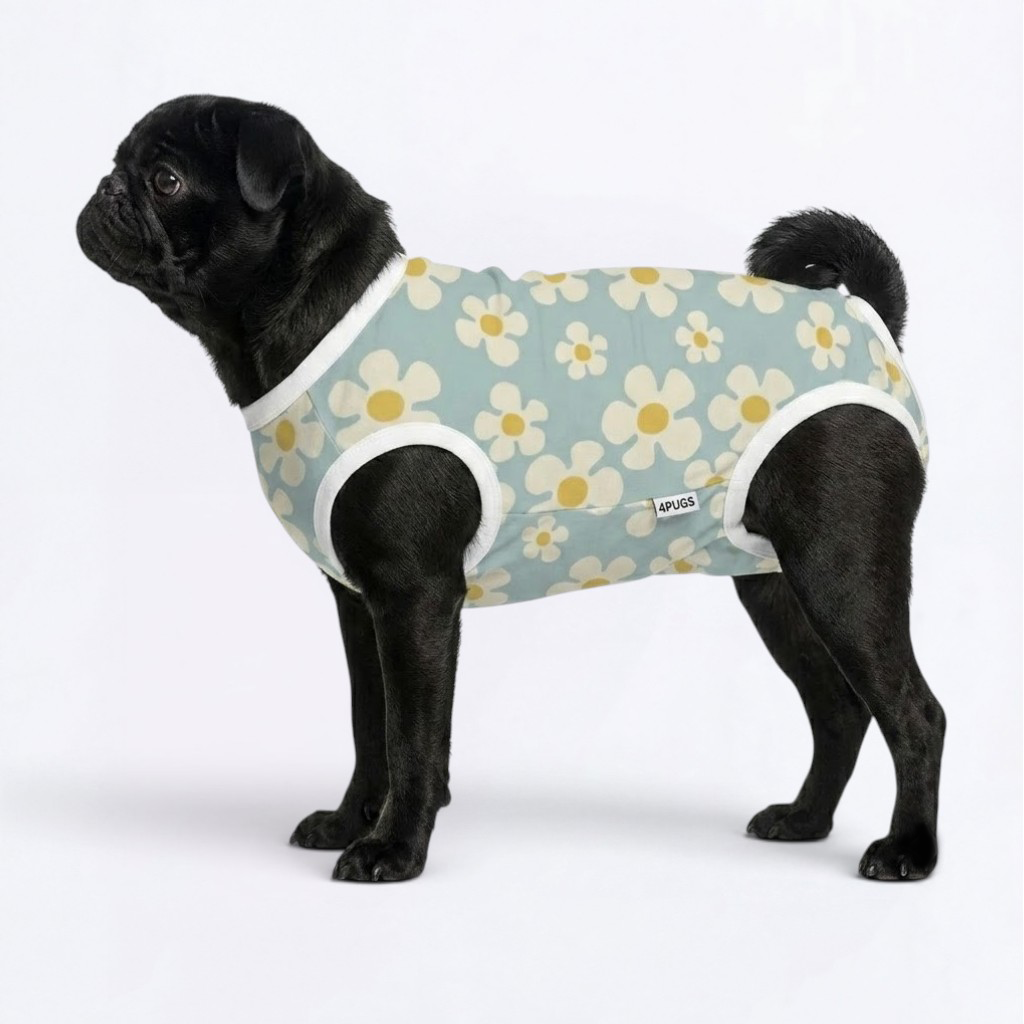 Kira - Pug Surgery Recovery Suit