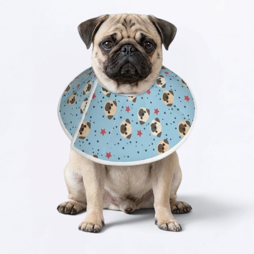 Lily - Elizabethan Cone Collar Pug Fit