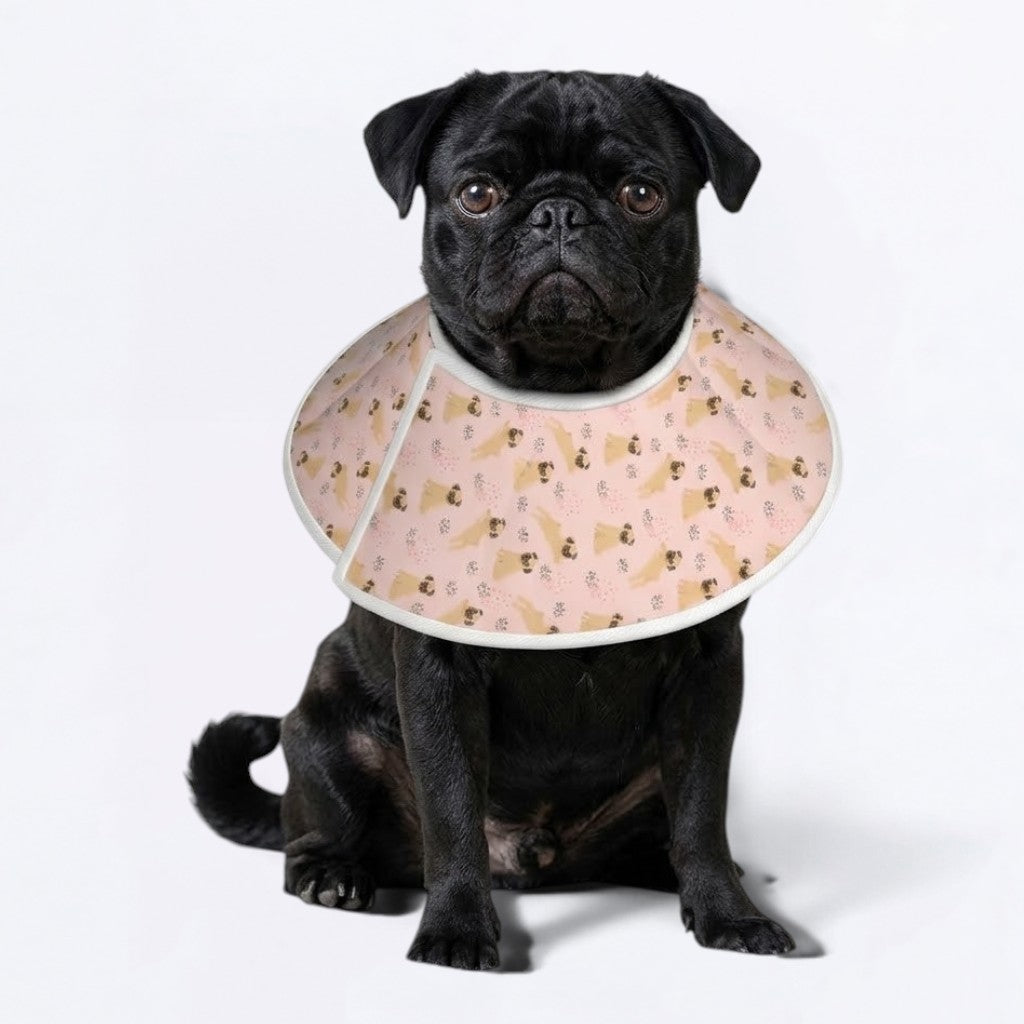 Maxy - Elizabethan Cone Collar Pug Fit