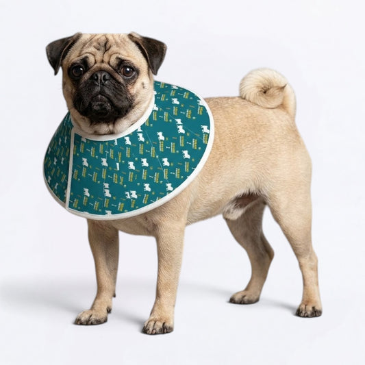 Ivy - Elizabethan Cone Collar Pug Fit