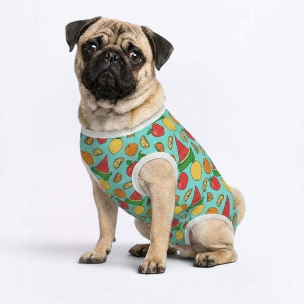 Blossom - Pug Surgery Recovery Suit