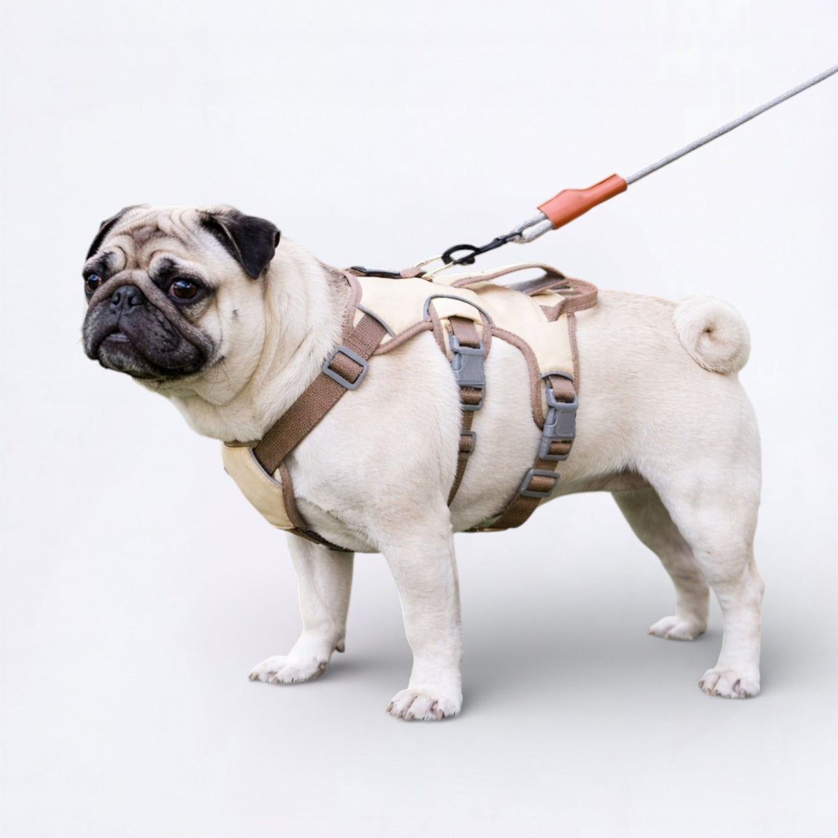 Puggo-Pug-No-Pull-Harness.jpg