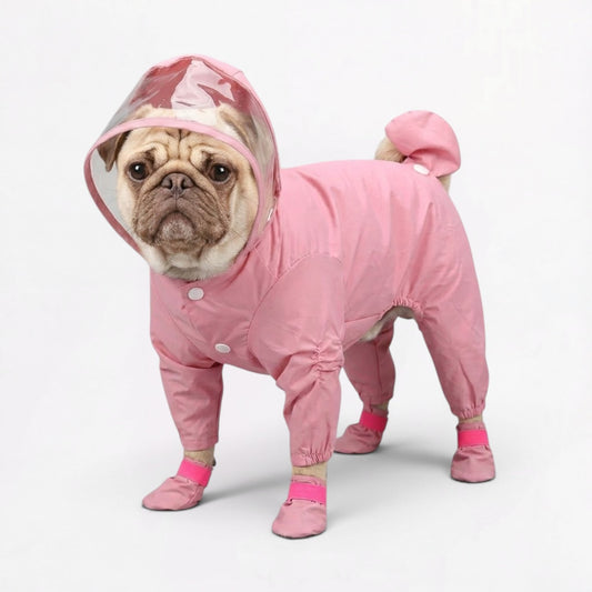RainPaw-Pug-Full-Body-Raincoat.jpg