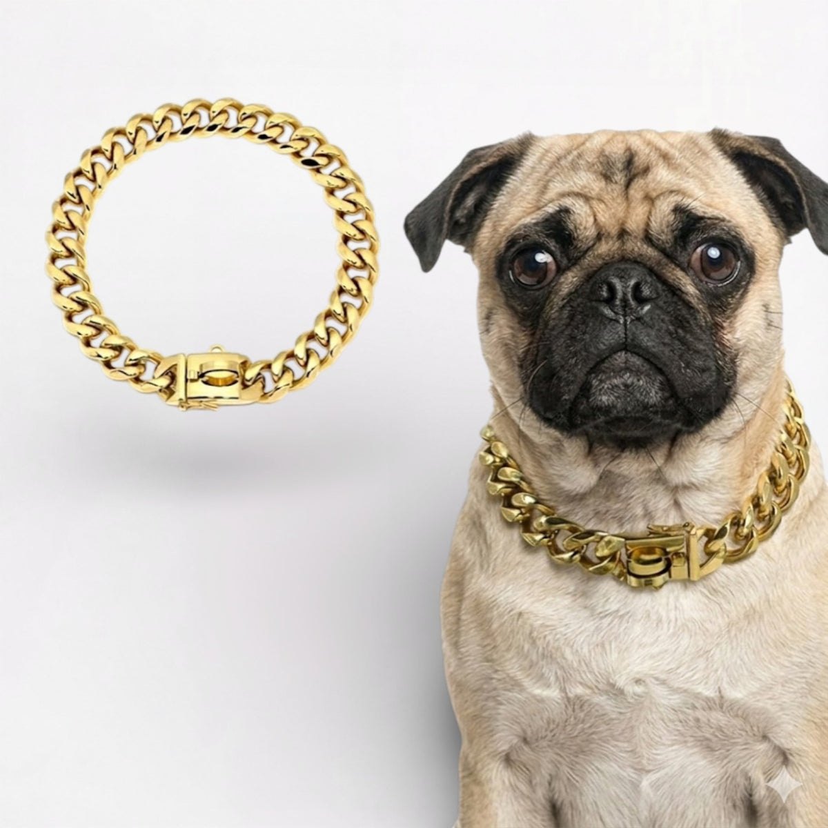 RoyalPaw-Pug-Gold-Plated-Chain-Collar.jpg