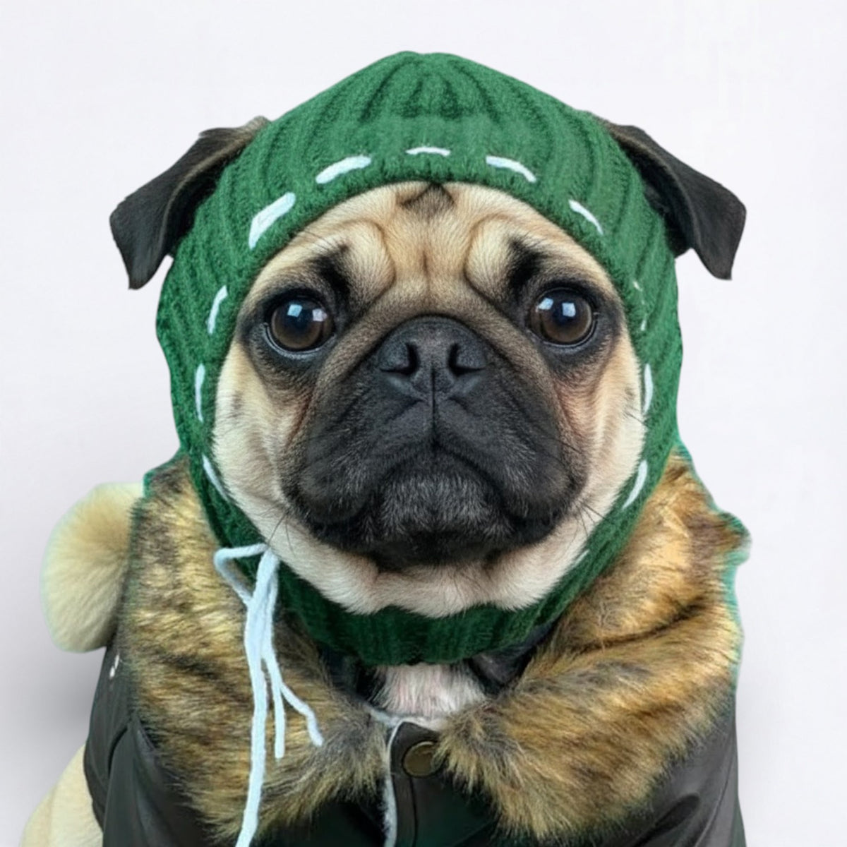 SnugPaw-Pug-Winter-Woolen-Hat.jpg
