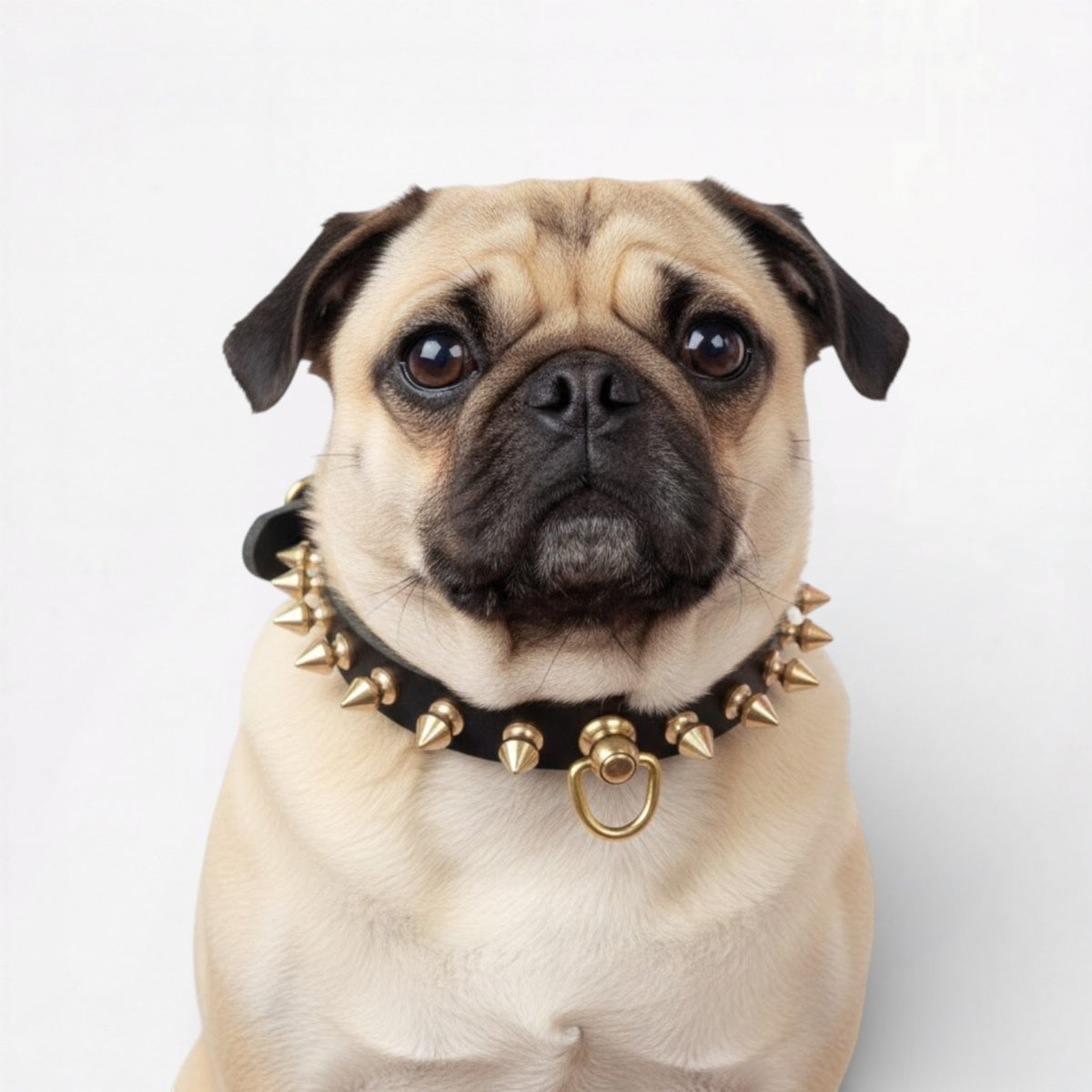 SpikeLux-Pug-Riveted-Collar.jpg