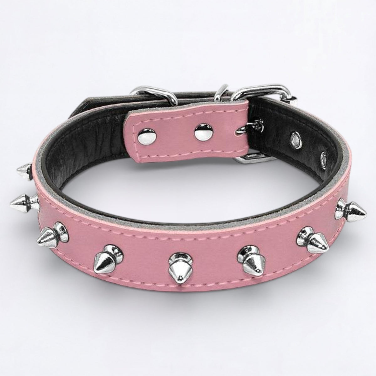 SpikeOn-Pug-Adjustable-Collar.jpg