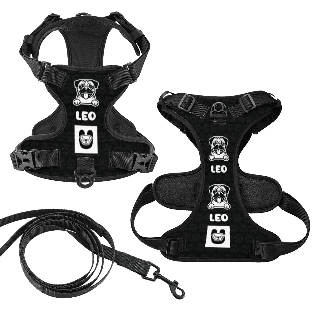 Winston - Personalized No-Pull Pug Dog Harness