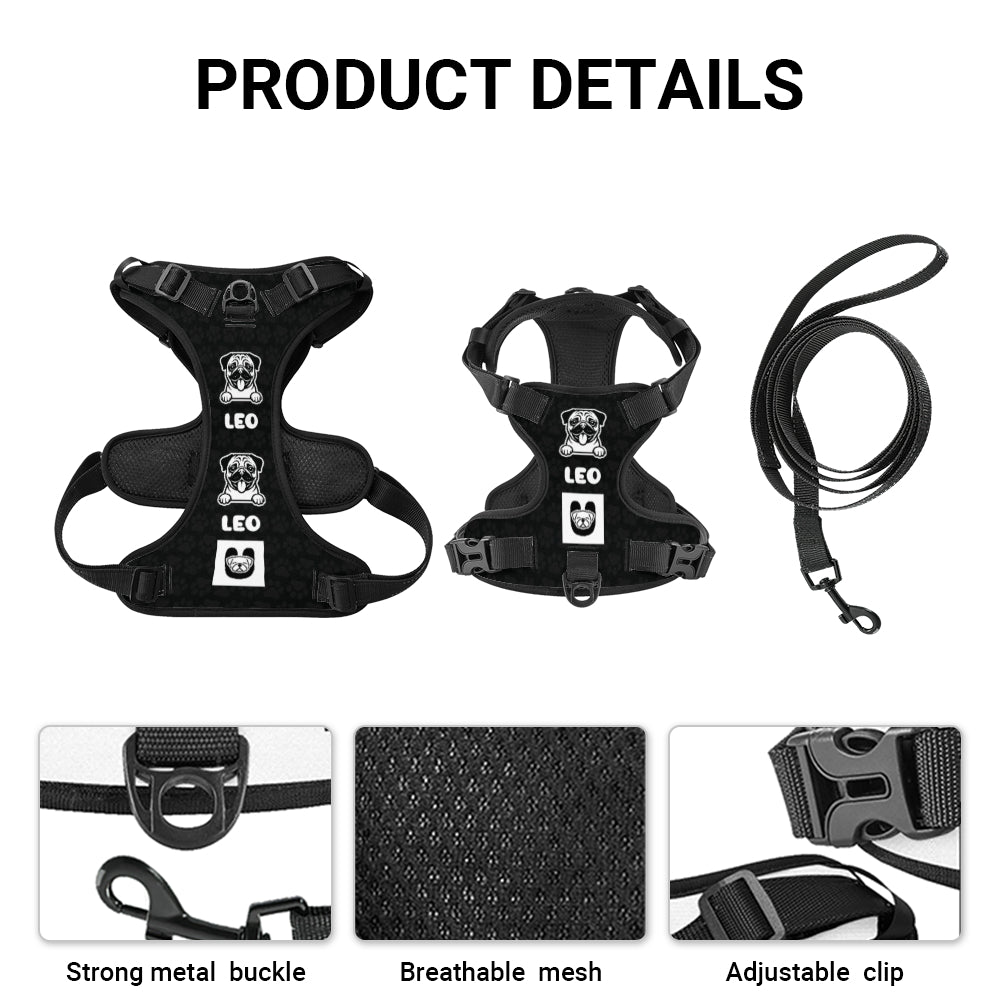 Winston - Personalized No-Pull Pug Dog Harness