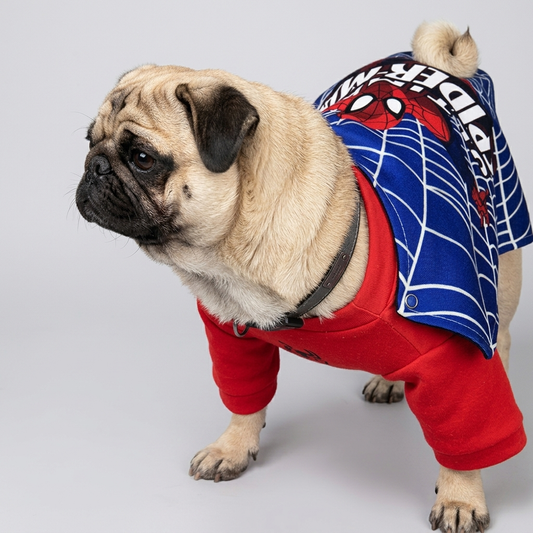 pug superhero cosplay outfit
