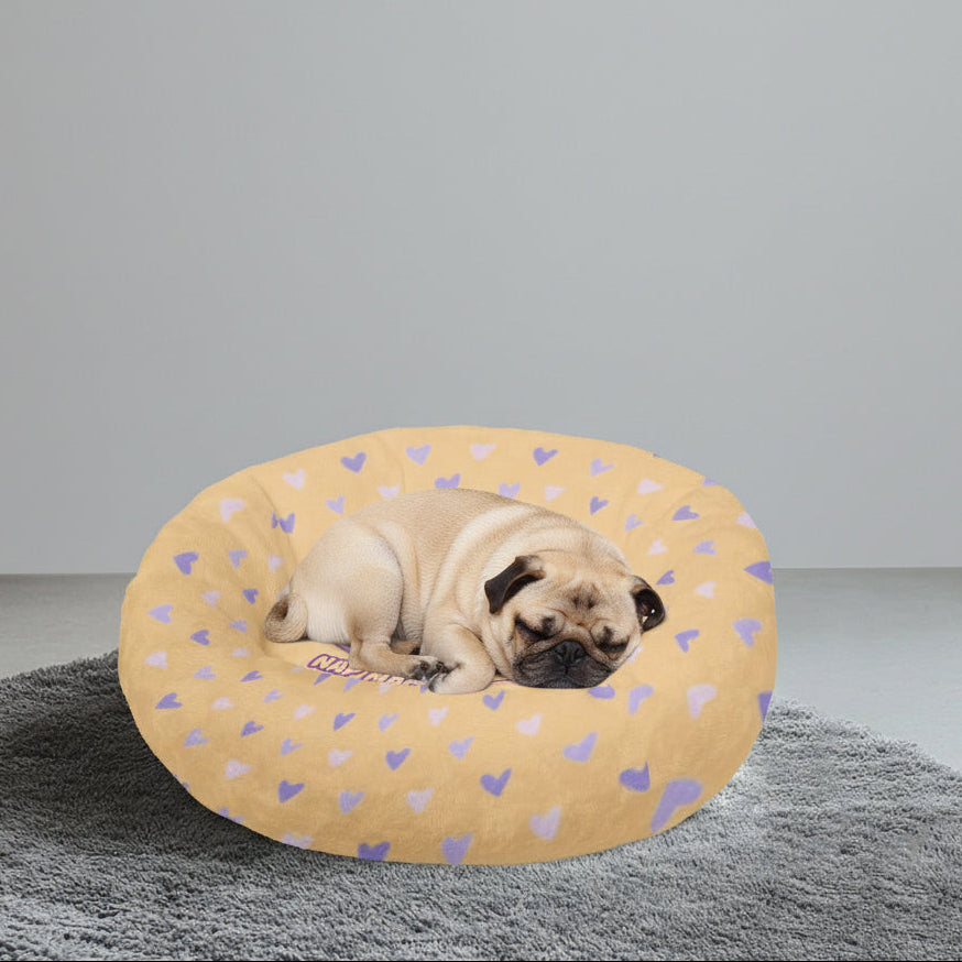 Nova - Pug For Bed