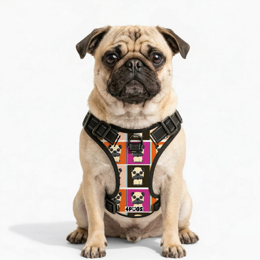 Max - Pug Dog Harness