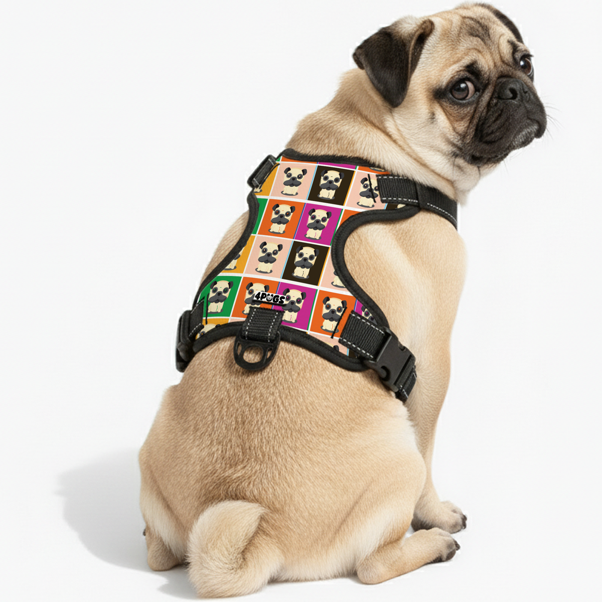 Max - Pug Dog Harness