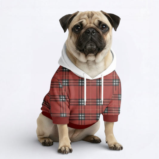 Apollo - Pug Dog Hoodie