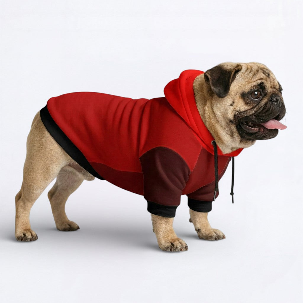 Blaze - Pug Dog Hoodie