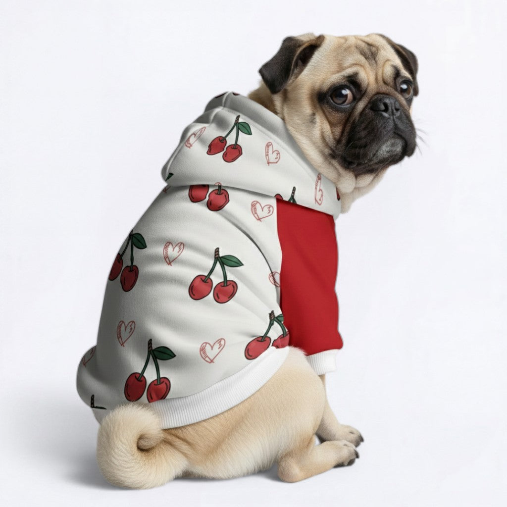 Zara - Pug Dog Hoodie