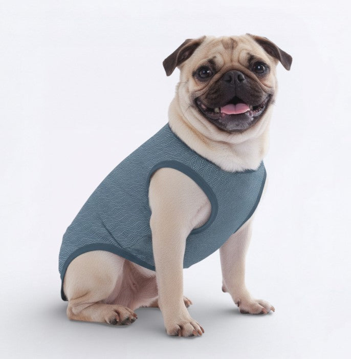 Olive – Pug Dog Shirt