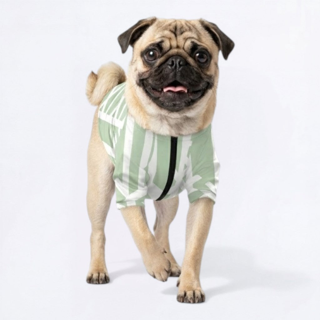 Ace - Pug Zip Up Sweater