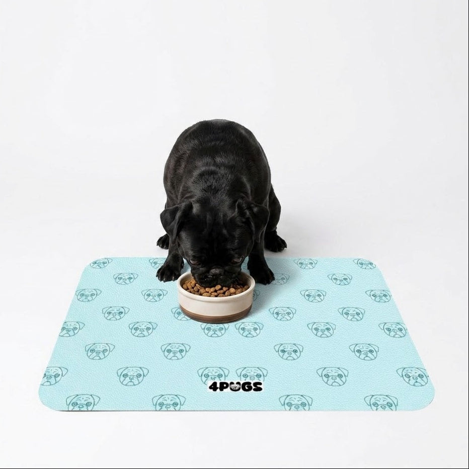 Premium Leather Dog Food Mat
