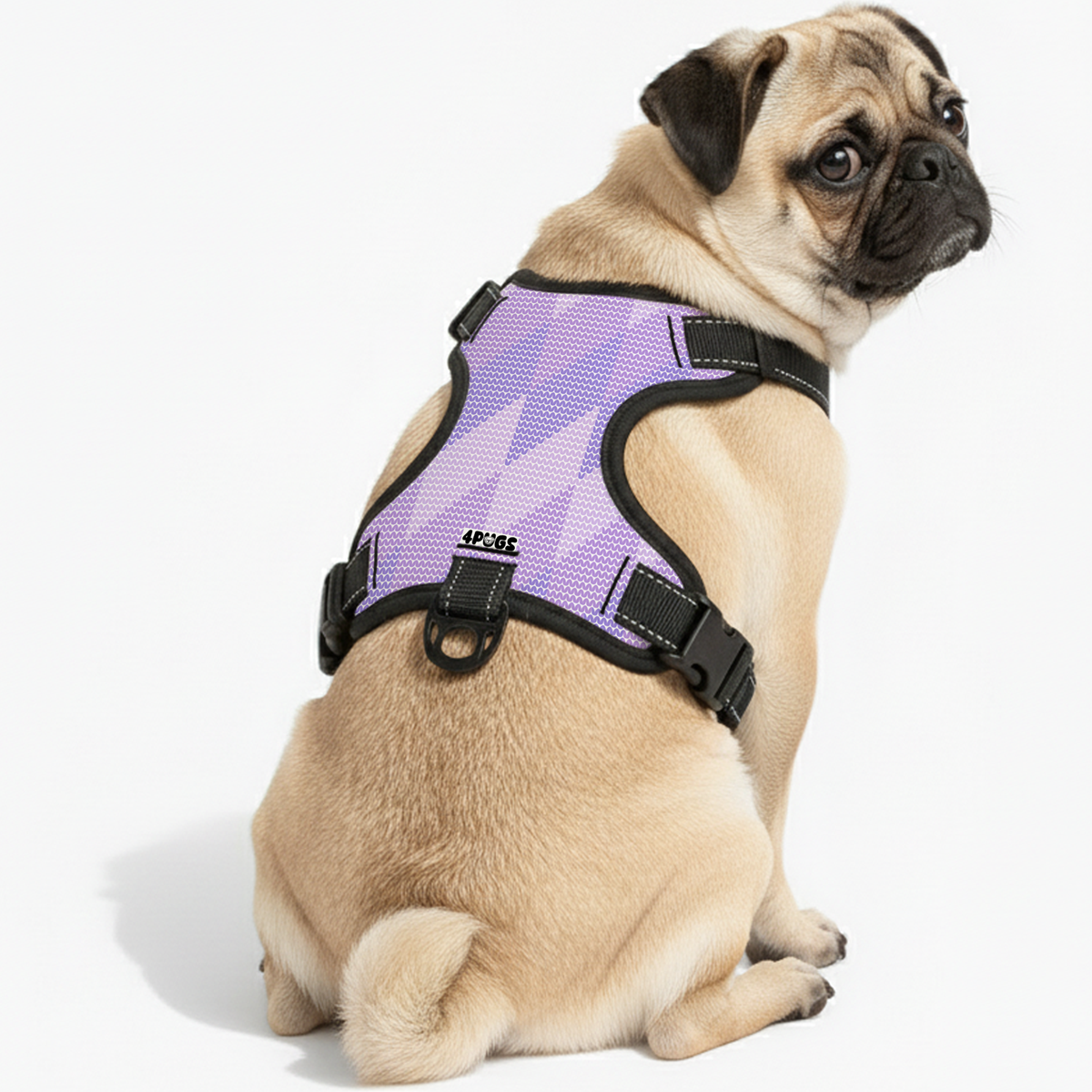 Pug Harnesses | No-Choke & No-Pull Dog Harnesses for Pugs