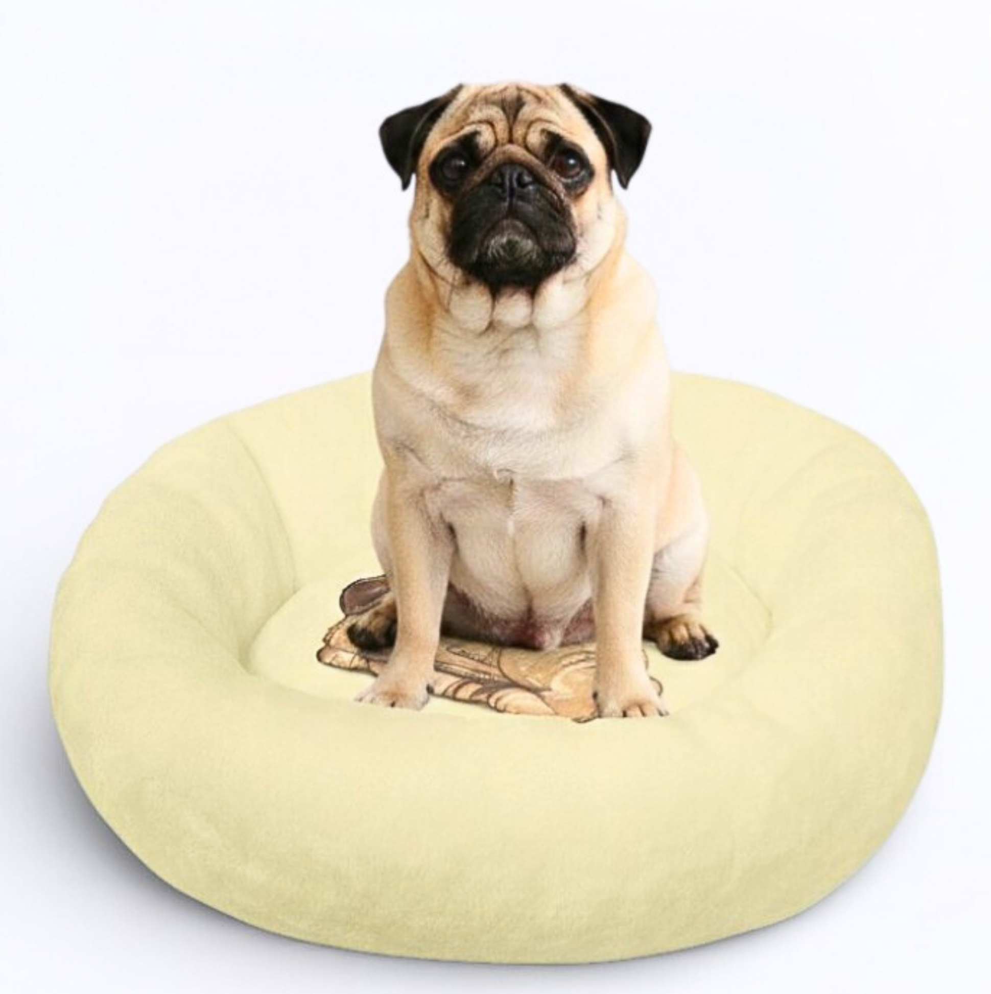 Best Round Bed for Pugs | Supportive Donut Cuddler