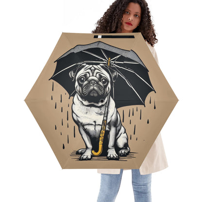 Crater - Umbrella