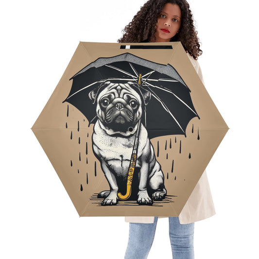 Crater - Umbrella