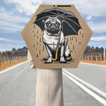 Crater - Umbrella