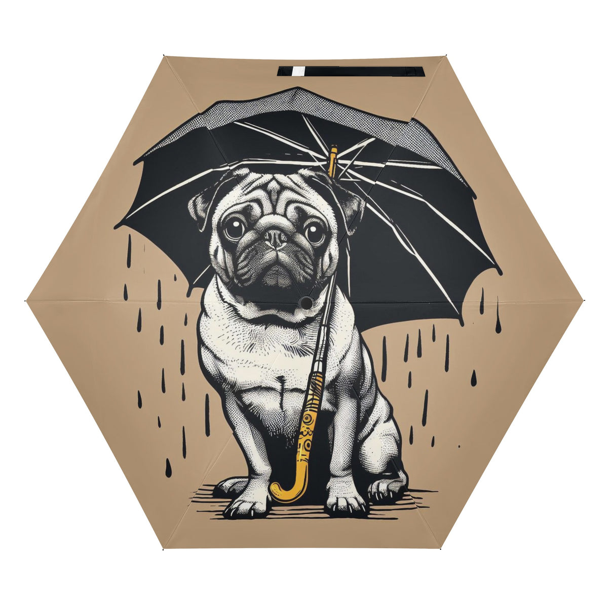 Crater - Umbrella