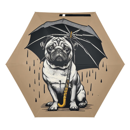 Crater - Umbrella