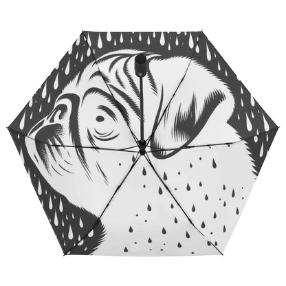 Teeny - Umbrella